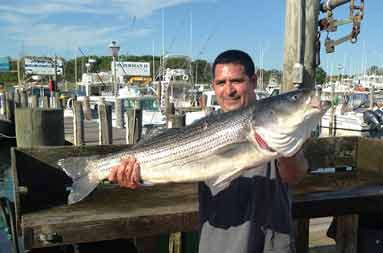 David back at the marina, holding up the large bass he caught