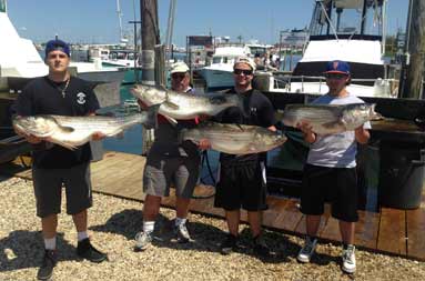 The guys display their bass from the morning trip back at the marina.