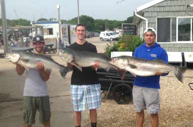 Three of the guys back at the marina holding up the large bass they caught