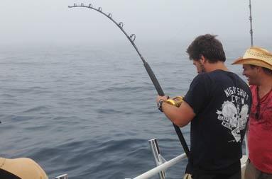 First blue shark being reeled in