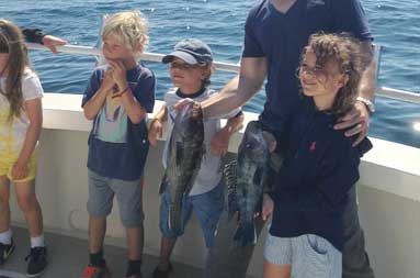Double-header sea bass.