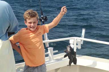 A quick pic of just one sea bass caught today.