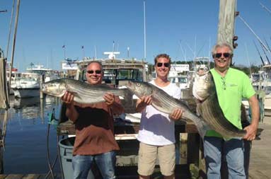 The group of guys, Steve, Aaron, and Alan back at the marina proudly holding up their catch from the trip