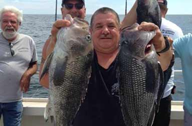 One of the guys on the trip smiling into the camera and holding up a jumbo sea bass