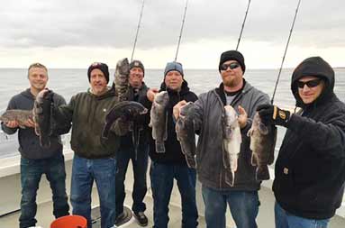Group shot of each of the men bundled up in fall/winter clothing on an overcast day, holding up the blackfish (Tautog) they caught.