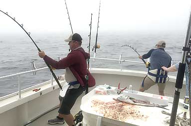 A few of the guys fighting the shark with this rod