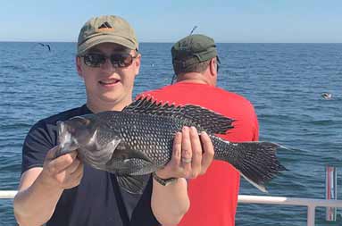 Closeup of a man holding up his jumbo sea bass for the camera.