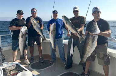Five men stand on the boat smiling, each hold a striped bass