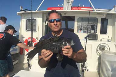 A man stands on the boat holding up for the camera a jumbo sea bass.