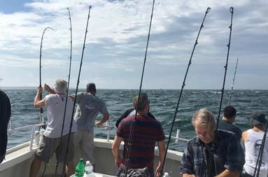 View of the back of a group of men and reels in the water waiting for a bite.