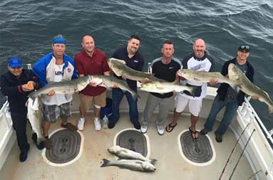 Overhead view from the roof of the boat of seven men looking up at the camera, each holding a striped bass.