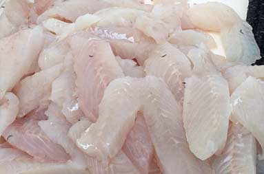 A large piled of filleted sea bass.
