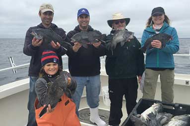An adult woman, along with 3 adult men and a young boy, all hold up the sea bass they caught.