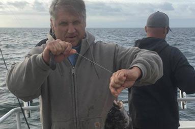 A man wearing a fleece holds up the blackfish (tautog) he caught.