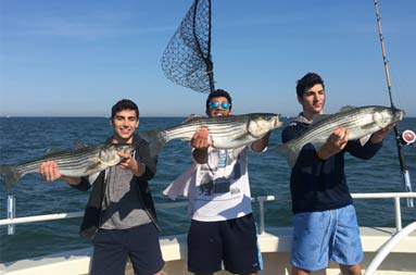 Three young men proudly hold up the striped bass they caught.