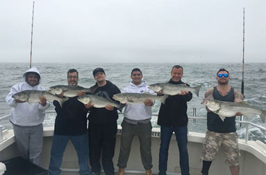 A group of 6 guys each hold up their striped bass for the camera.
