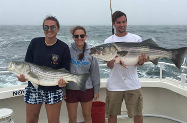 Two young women and a young man hold us the two striped bass they caught.