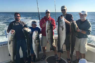 Four men and one young boy each hold up the striped bass they caught.