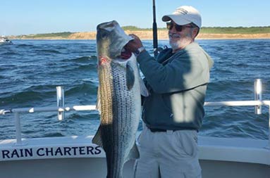 With one hand, a man holds up the large striped bass he caught.