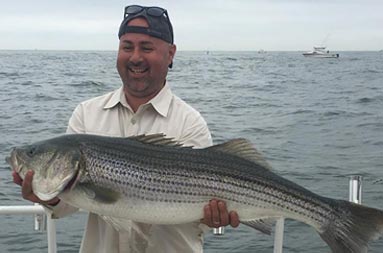 A man, wearing a backwards baseball cap, smiles as he holds up his large catch of striped bass.
