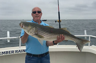 A man in a light blue shirt and sunglasses proudly holds up a striped bass.
