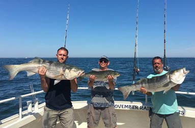 Three men each hold up the striped bass they caught.