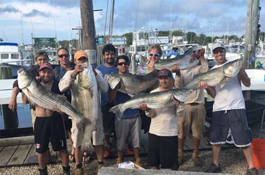 Back at the marina, 10 men each proudly hold up the striped bass they caught.