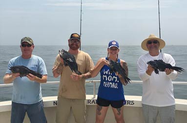 Three men and one woman each proudly hold up the sea bass they caught.
