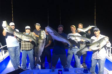 A night photo (pitch black) on the boat with blue under lighting showing 8 men proudly holding up the striped bass they each caught.