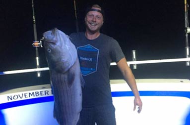 A night photo (pitch black) on the boat with blue under lighting showing a man proudly holding up his large catch of striped bass.