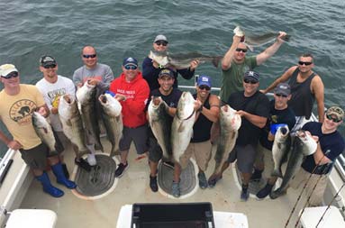 View from atop the boat looking down at the deck of 12 men holding up some of the striped bass they caught.