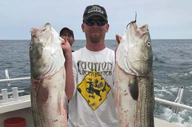 A man holds up a striped bass in each hand.