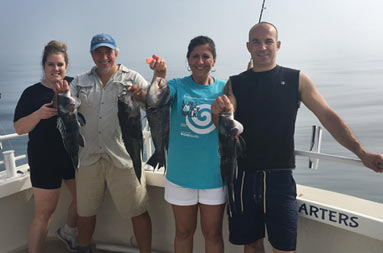 Two couples each hold up the 4 sea bass they caught collectively.
