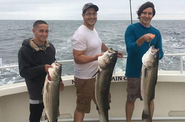 Three men stand next to each other as they each smile and hold up the striped bass they caught.