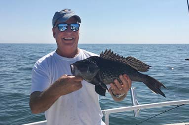 A man with blue baseball cap and sunglasses smiles and holds up a large sea bass.