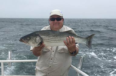 A man wearing a beige baseball cap and sunglasses smiles as he holds up a striped bass.