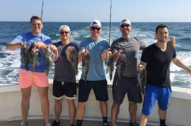 Five guys smile for the camera as they each hold up 2 sea bass.