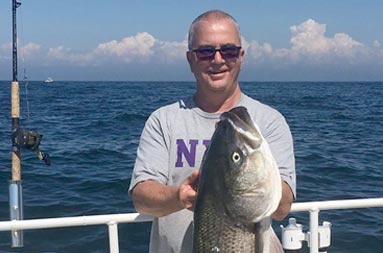 A man wearing sunglasses on a sunny day holds up the large striped bass he caught.