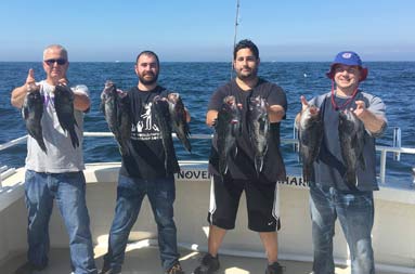 Four men each hold up two sea bass.