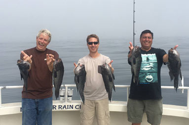 Three men smile and each hold up 2 sea bass.