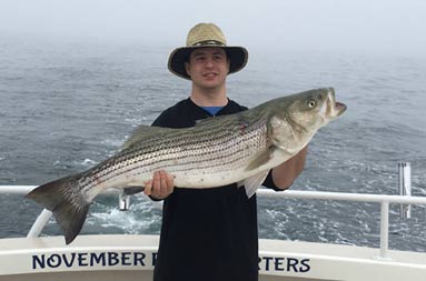 With a foggy, overcast sky in the background, a man holds up a striped bass with both hands for the camera.