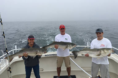 Two men and one woman each hold up large striped bass.