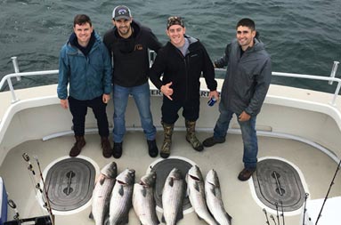 View from a top the boat looking down at the deck at 4 men smiling for the camera with the striped bass laid out before them on the deck.