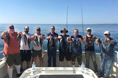 With a clear blue sky in the background, 8 men smile and each hold up 2 sea bass.