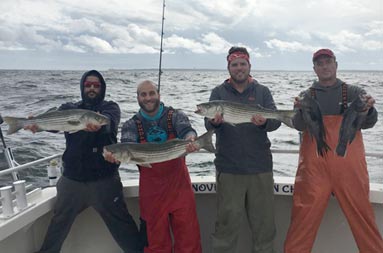 Four men smile and each hold up the striped bass they caught.