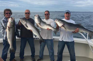 Four men smile and each hold up their striped bass.