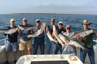 Seven men each hold up the striped bass they caught.