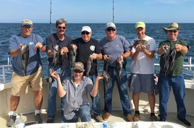 Seven men each hold up the 2 sea bass they caught.