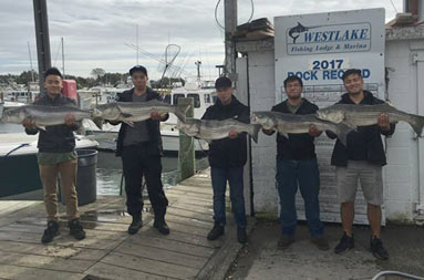 Standing on the dock back at the marina, five men smile and hold up the striped bass they each caught.