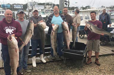 Standing on the dock back at the marina, six men smile and hold up the striped bass they each caught.